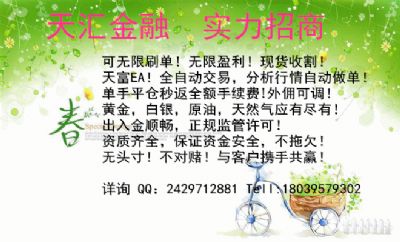 金融投资应该选择什么比较好盈利 NJ 图片 5