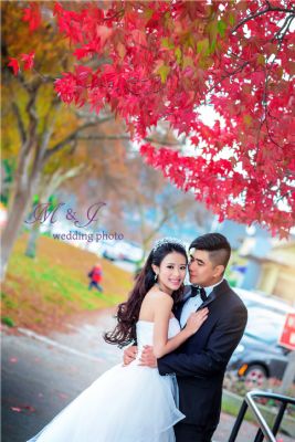 旧金山王子婚纱摄影 图片 4