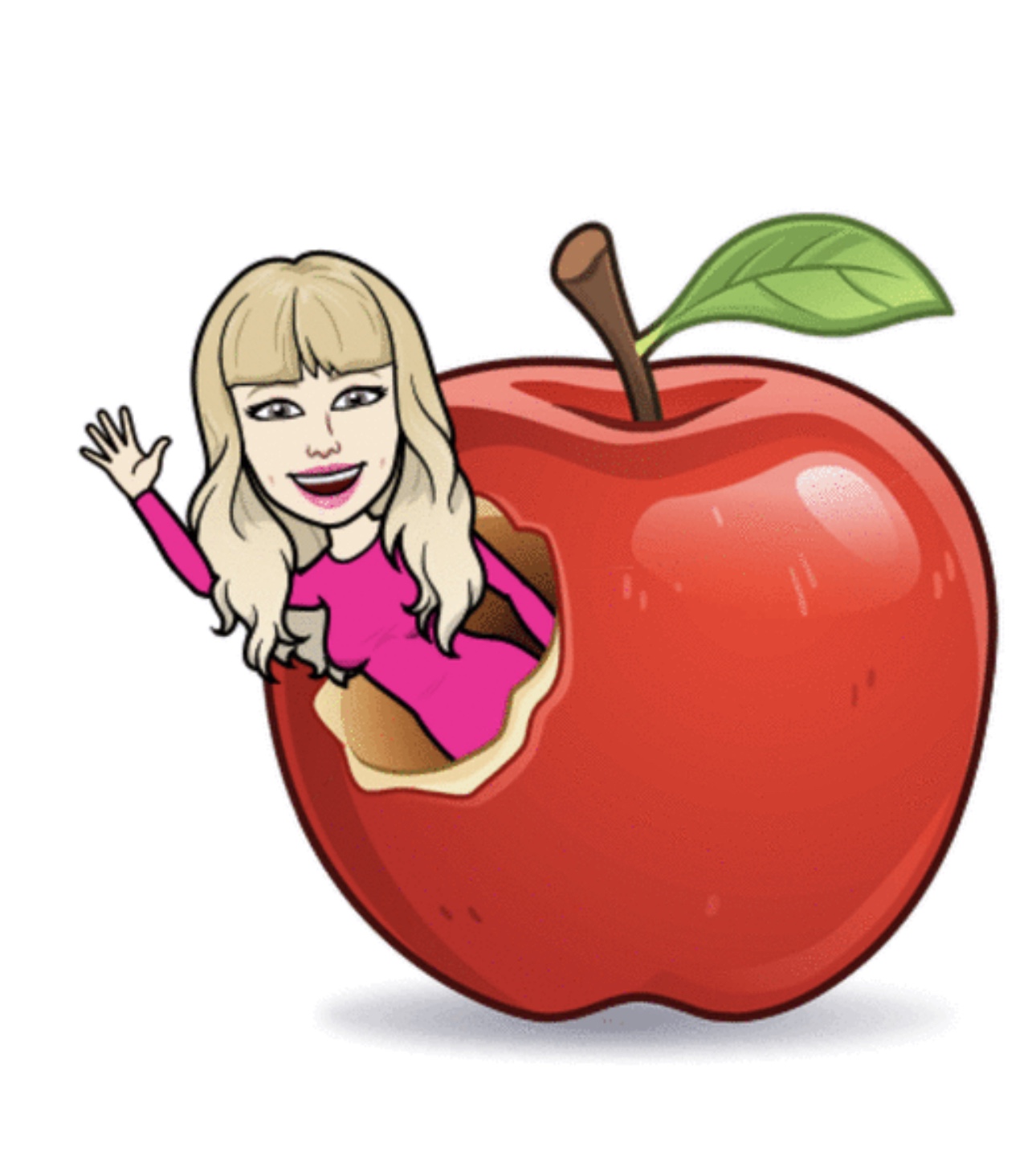 Online语言一对一课 (Zoom) 美国人老师 photo 2