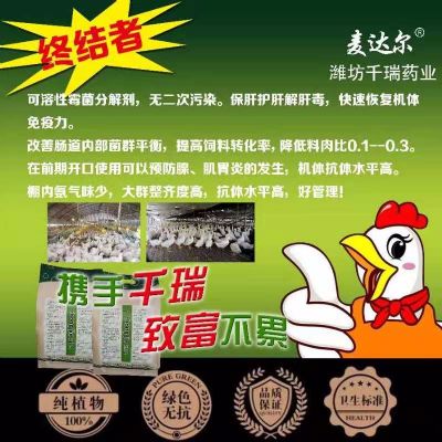 肉鸭感冒预防 TX photo 2