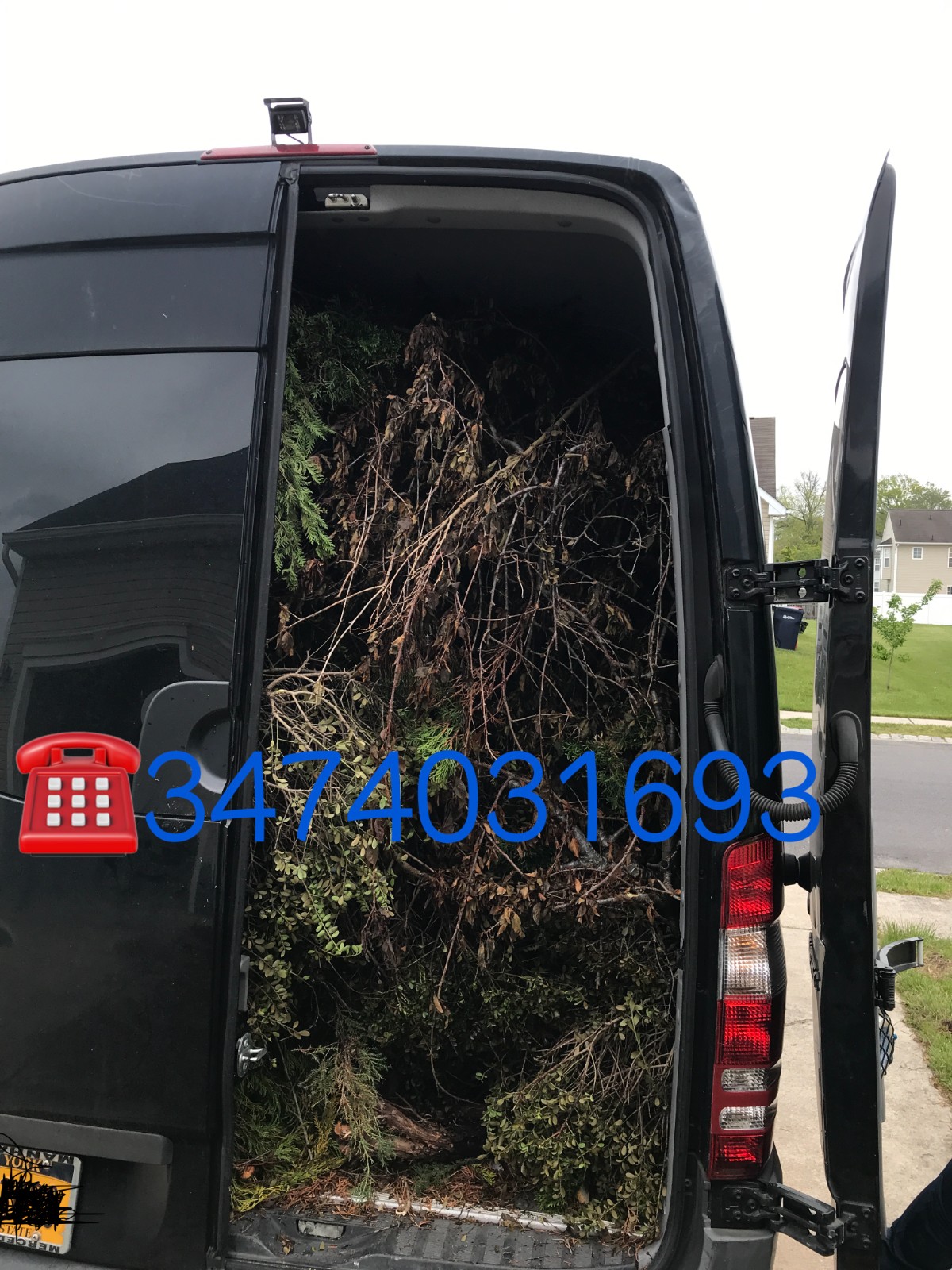 砍树 伐木 清理树木, 清理旧家具 photo 2