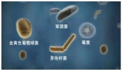 分體式冷氣專業清洗消毒 图片 2