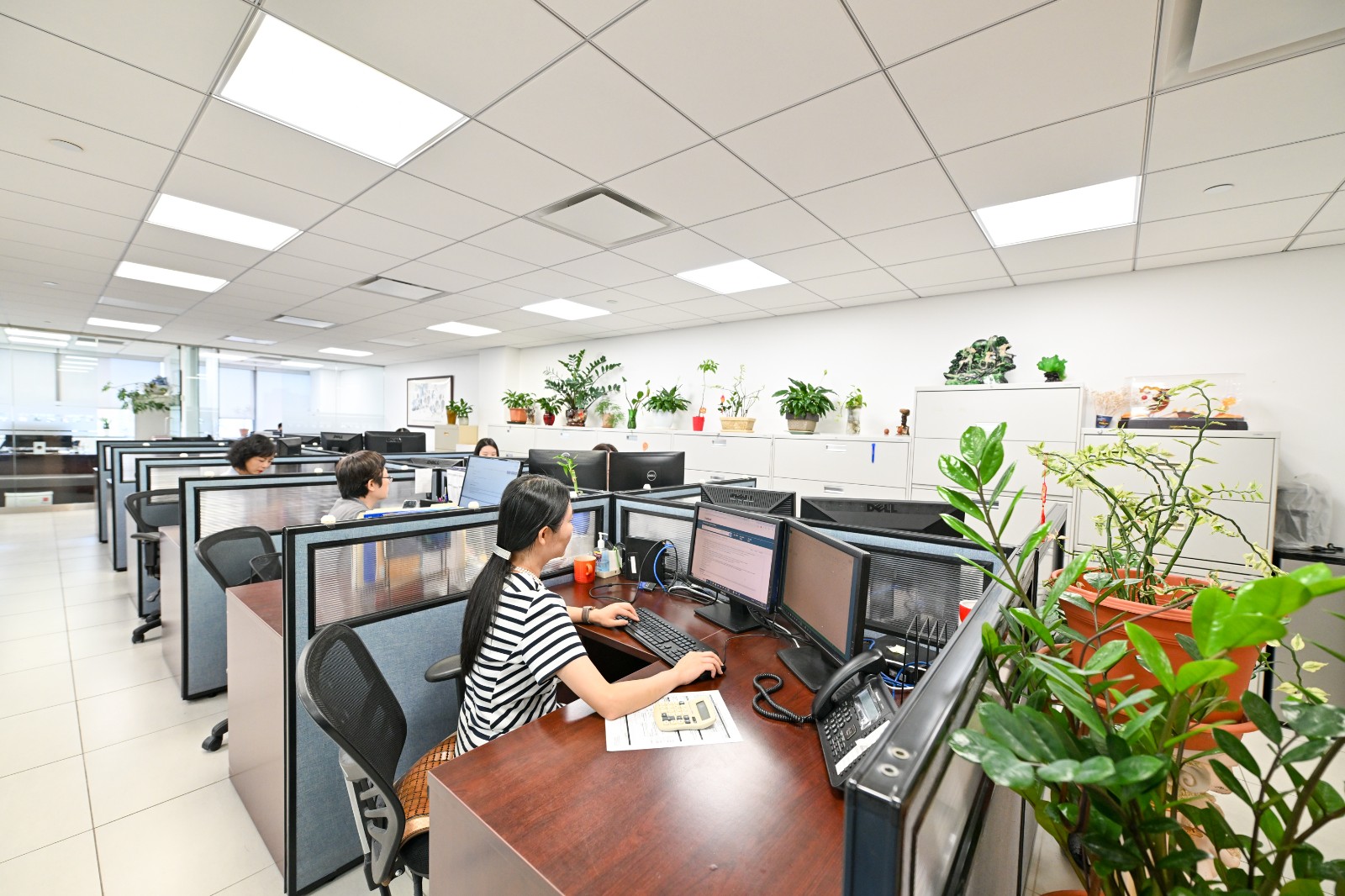 Summit Mortgage Bankers 图片 3