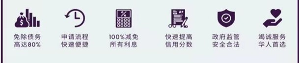 National Debt Law 图片 4