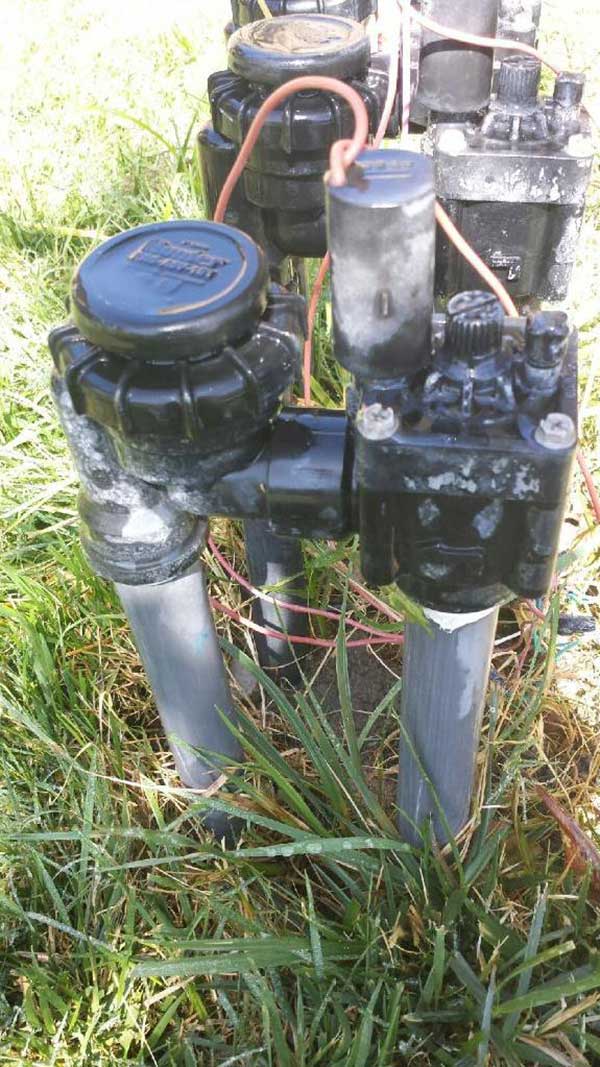 大順水電 photo 1