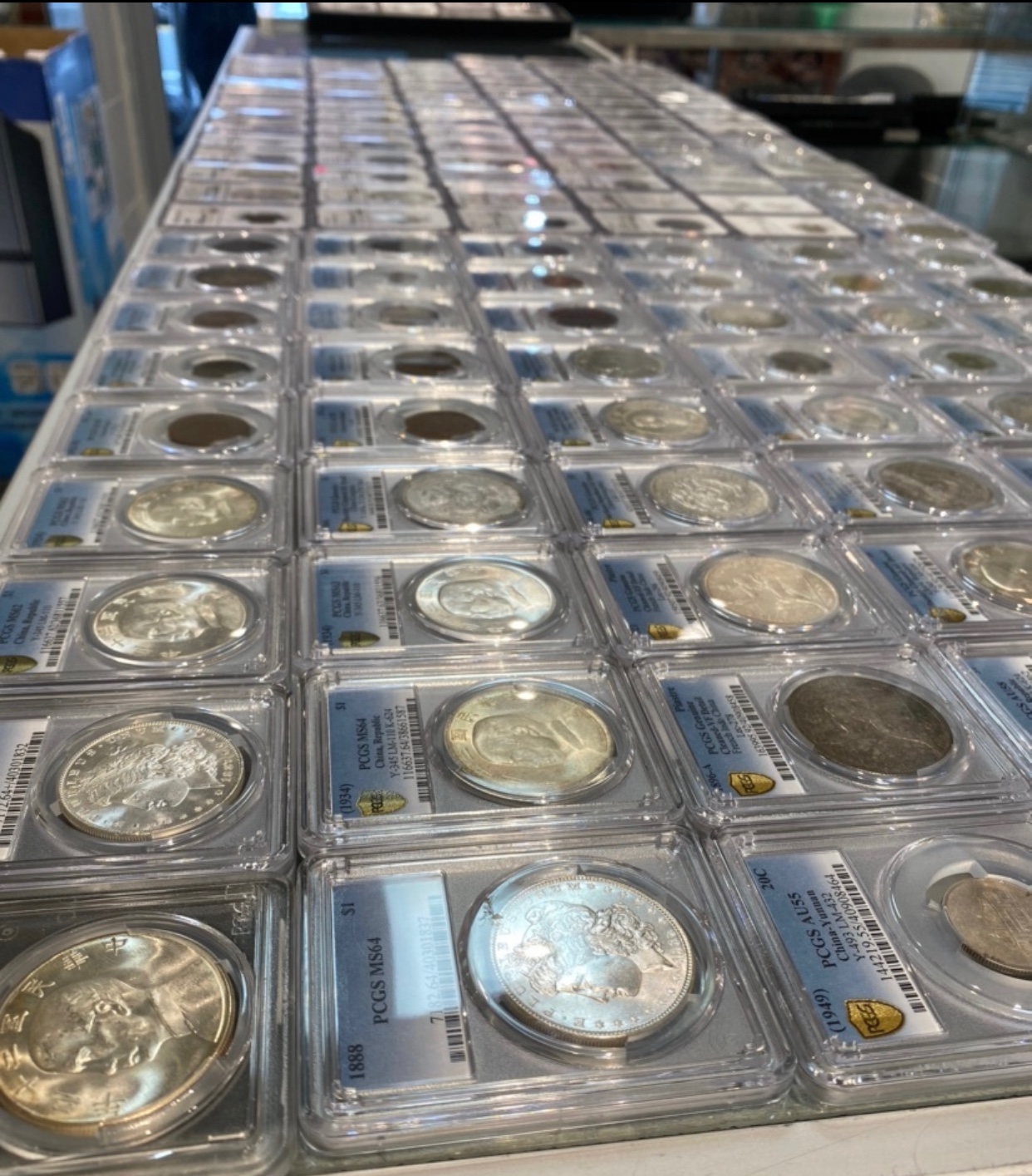 Michael’s coin INC 钱币店 photo 1
