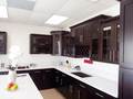 松泉建材公司 - Pines Fountain Decorative Material LLC 图片 9
