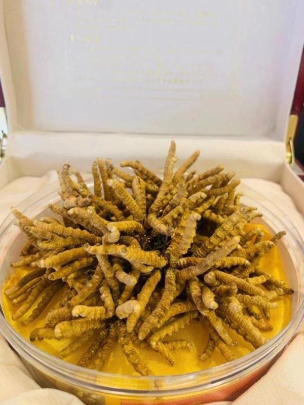 康利海味參茸行 图片 4