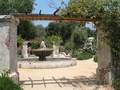 圣塔安那农场植物园 - Rancho Santa Ana Botanic Garden photo 1
