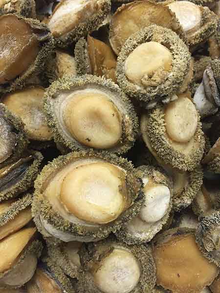 玄瀝海產批發公司 photo 1
