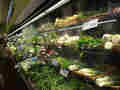 H Mart photo 1