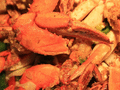 Savory Buffet photo 2