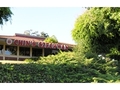 Chin’s restaurants photo 13