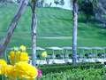 Doubletree Golf Resort San Diego photo 14