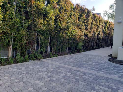 全美造景庭園設計 photo 3
