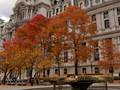 福达国际旅游 - Forte International Travel,Inc. photo 1