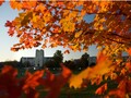 弗吉尼亚理工大学 - Virginia Tech photo 4