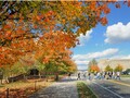 弗吉尼亚理工大学 - Virginia Tech photo 2