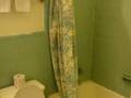 Palm Leaf Motel photo 4