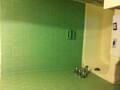 Palm Leaf Motel photo 15