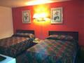 Palm Leaf Motel photo 6