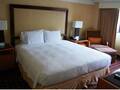 Washington Guest Suites 图片 13