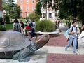 马里兰大学 - University of Maryland in College Park photo 9