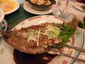 银泉酒家 图片 2