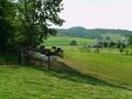 阿米什人村庄 - Amish Village photo 2