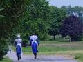 阿米什人村庄 - Amish Village photo 5
