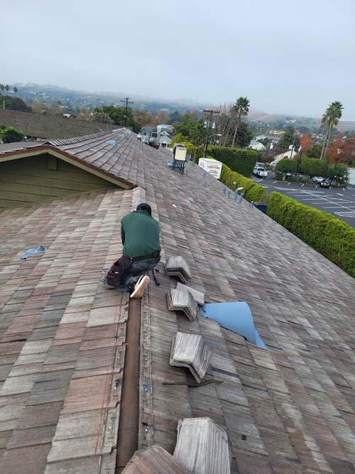 CHUNG PRO ROOFING photo 1