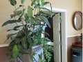 Crestwood Suites Of Las Vegas photo 4