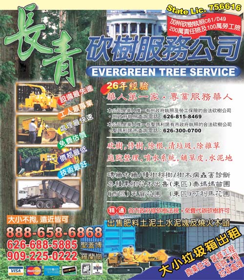 長青砍樹服務公司 photo 1