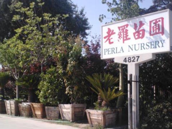 老羅苗圃 图片 8