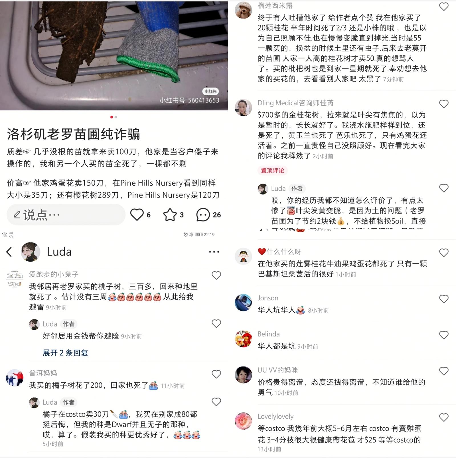 老羅苗圃 图片 6
