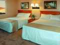 Nellis Suites photo 12