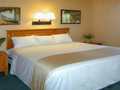 Nellis Suites photo 11