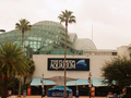 佛州水族馆 - The Florida Aquarium photo 1
