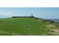 美国佛州阳光国际旅游公司 - Sunny International Travel photo 3