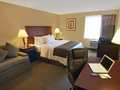 Best Western Mccarran Inn 图片 19