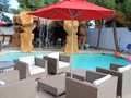 Blue Moon Gay Mens Resort - Clothing Optional photo 2