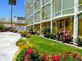 Clarion Hotel Las Vegas 图片 11
