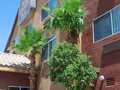 Best Western Plus North Las Vegas Inn & Suites photo 18