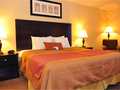 Best Western Plus Las Vegas West photo 19