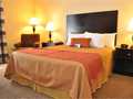 Best Western Plus Las Vegas West photo 4