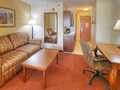 Holiday Inn Express Hotel & Suites Las Vegas photo 10