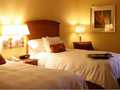Hampton Inn Las Vegas-Tropicana photo 14