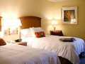 Hampton Inn Las Vegas-Tropicana photo 6