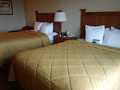 Comfort Inn And Suites photo 13