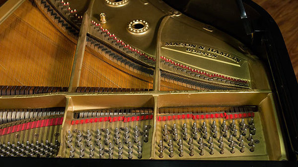 生活鋼琴 photo 2